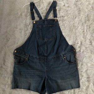 Isabel Maternity Overalls Sz 16/33
